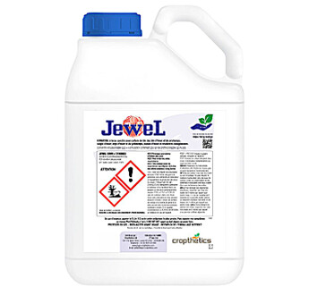 JEWEL