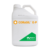 CORASIL E P