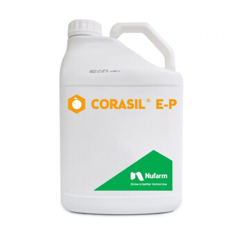 CORASIL E P