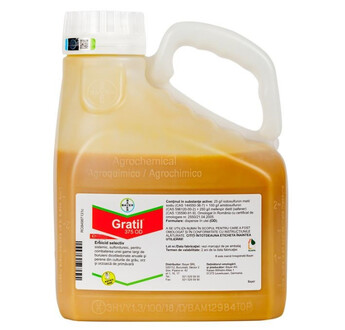GRATIL