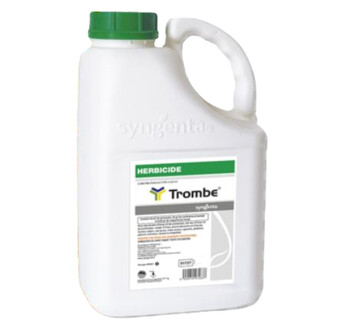 TROMBE