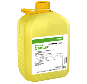 CANTUS