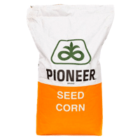 SEM. MAIS P 0725 LUMIGEN STANDARD (REDIGO M+VIBRANCE GOLD) DOSE 50MG