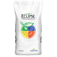 ECLIPSE TALC SAC25