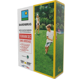 GAZON TERRAIN SEC SANS ARROSAGE