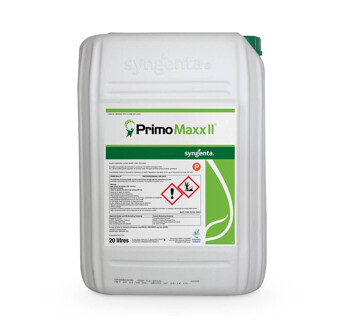 PRIMO MAXX II