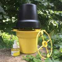 RHYNCHO PRO CLASSIC X 10 B. FRP