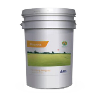 SEM. AGROSTIDE PIRANHA NON ENROBEE 11.35KG