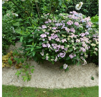 PAILLIS DE LIN BALLE 220 L