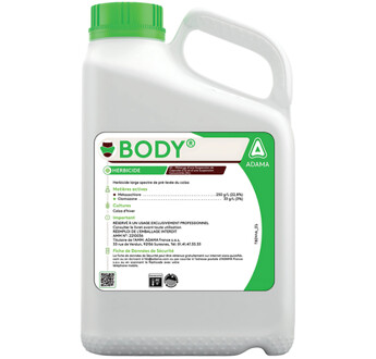 BODY