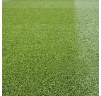 SEM. MELANGE RAY GRASS CREEPING RYE SAC25KG