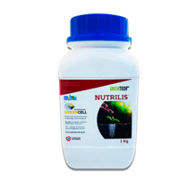 NUTRILIS POUDRE 1KG
