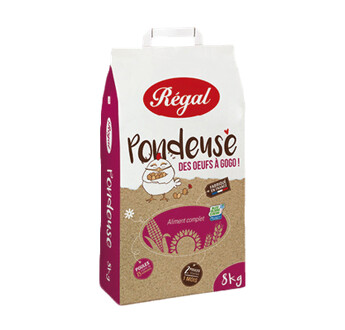 PONDEUSE REGAL VERMICELLE