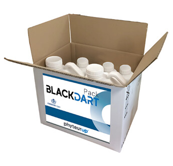 PACK BLACK DART (DARTAGNAN 2*10L + PUPITRE 3*0.5L)