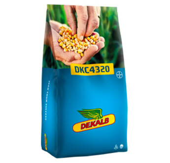 SEM. MAIS DKC 4320 REDIGO DOSE 50MG