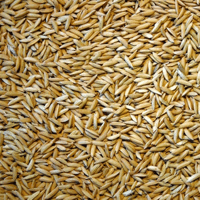 SEM. RIZ LONG A VELOX NT BB500KG