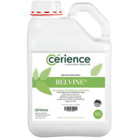 BELVINE 10 L