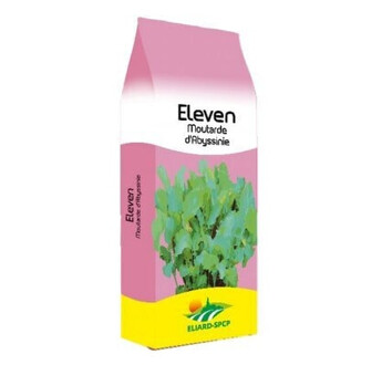 SEM. MOUTARDE D'ABYSSINIE UNDERCOVER