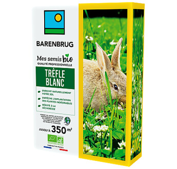 TREFLE BLANC BIO 500 GR