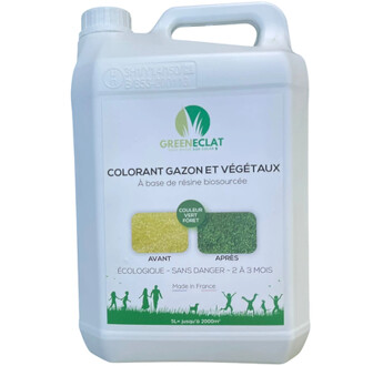 PEINTURE GAZON VERT FONCE FORET 1L
