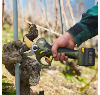 KIT SECATEUR ELECTRIQUE AVEC 2 BATTERIES WILDHORN 40 ALPEN