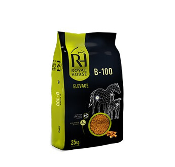 CHEVAL ELEVAGE RH B100