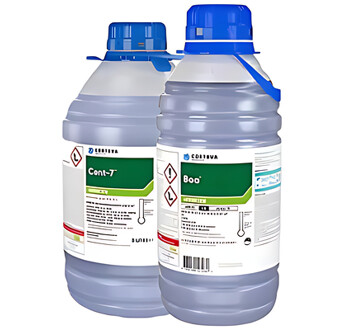 COPACK BOA CENT 7 (1X0,75L + 1X5L)