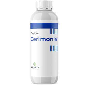 CERIMONIA