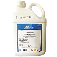 VINIVAX