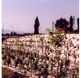 ECOJUTE 100% JUTE 25ML / M2