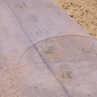 FILM 500 MULTITROUS T25 1000ML /RL