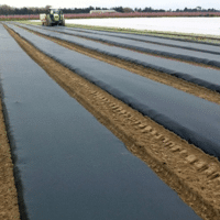 FILM PAILLAGE BIOCASE NOIR 15MC 1500M NON PERFORE