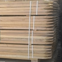 TUTEUR MARQUANT ACACIA 30X30 CARRE EPOINTE /UNITE