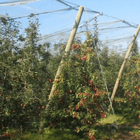 PIQUET PIN CMV PLANE DIAM10/12 CL4 CTB B+