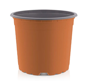 POT HORTICOLE ROND 5° THERMOFORME VCG9 X 3600
