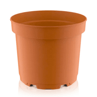 TEKU CONTENEUR MCI COULEUR TERRE CUITE