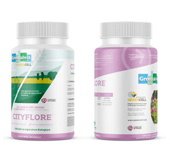 CITYFLORE POUDRE