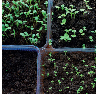 TERREAU P06 LEGUMES GODET UAB