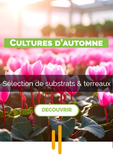 terreaux culture d'automne