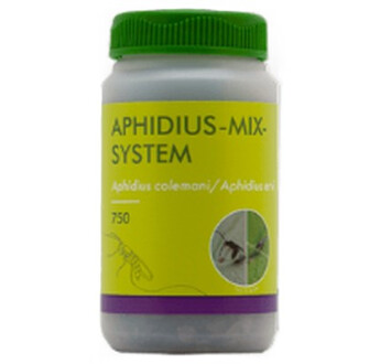 APHIDIUS MIX SYSTEM 750 (500A.COLEMANI+250A.ERVI)