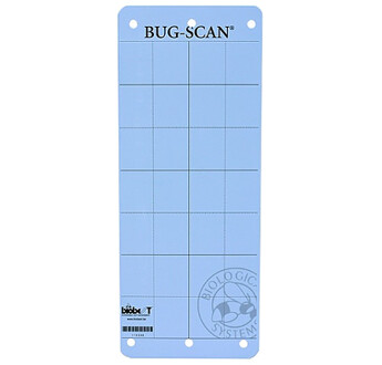 BUG SCAN ADHESIF BLEU 25X40 / 20