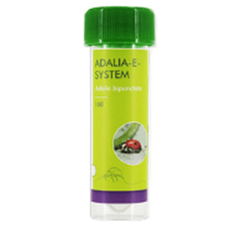 ADALIA SYSTEM 100 OEUFS TUBE
