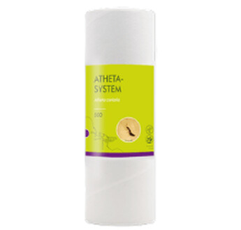 ATHETA-SYSTEM (ATHETA CORIARIA)/500