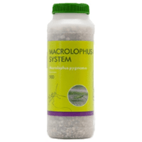 MACROLOPHUS SYSTEM 500