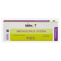 ERETMOCERUS SYSTEM (CARTE 100 - 10000)