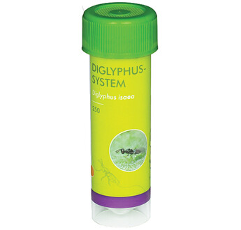 DIGLYPHUS SYSTEM 250