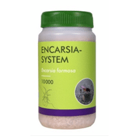 ENCARSIA SYSTEM (CARTE 100 - 10000)