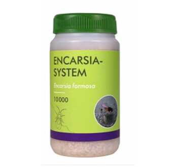 ENCARSIA SYSTEM (CARTE 100 - 10000)