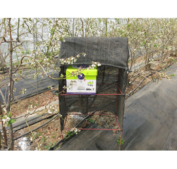 RUCHE DE BOURDONS MEDIUM HIVE BIOBEST