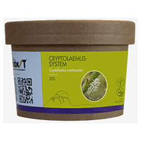 CRYPTOLAEMUS SYSTEM / 500